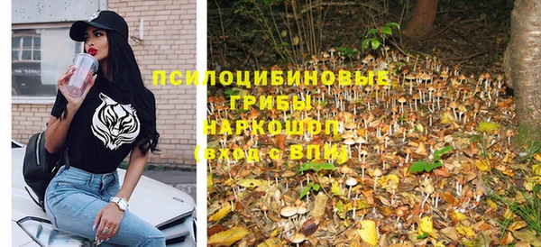 дмт Баксан