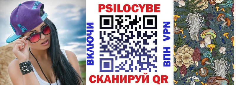 как найти наркотики  Светлый  Псилоцибиновые грибы ЛСД 
